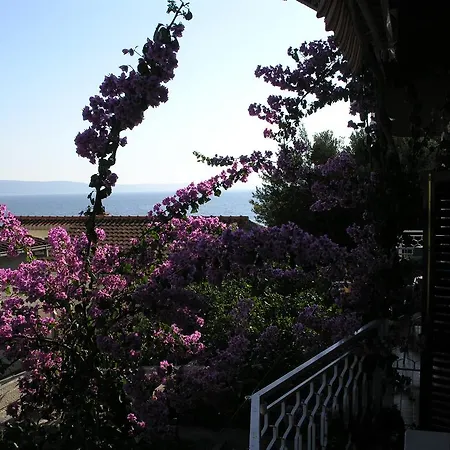 Appartement Dobrila *