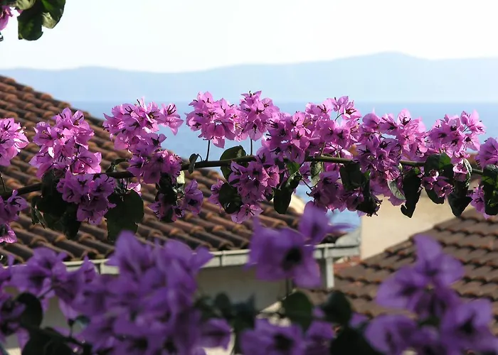Dobrila * Podgora (Split-Dalmatia)