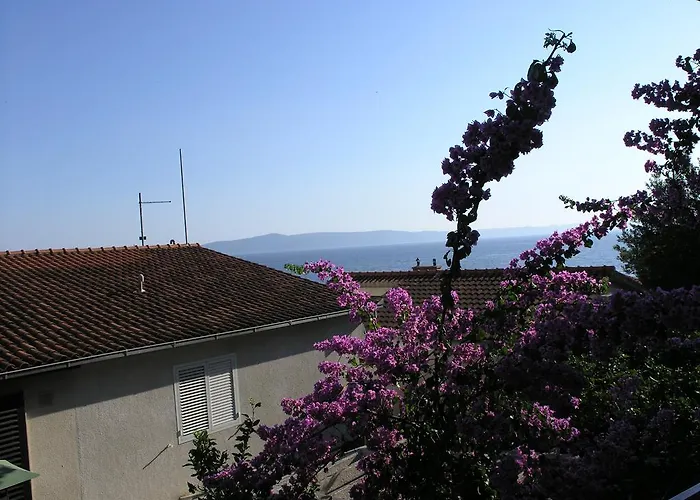 Dobrila Appartement