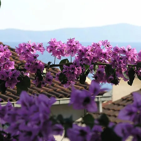 Dobrila * Podgora (Split-Dalmatia)