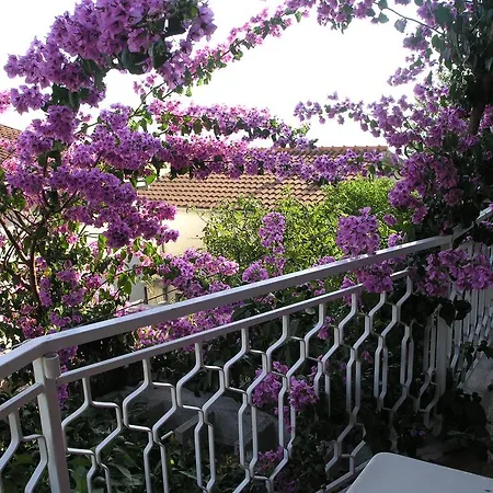Dobrila Apartamento